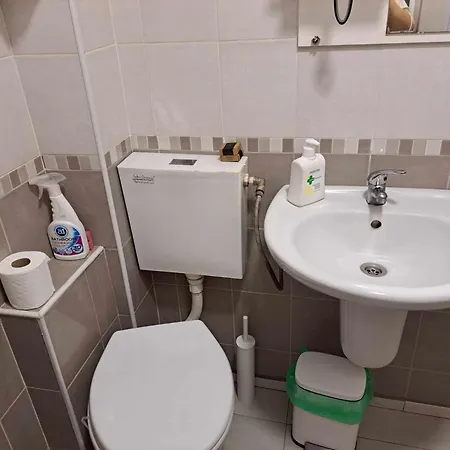 Zoev * 普罗夫迪夫