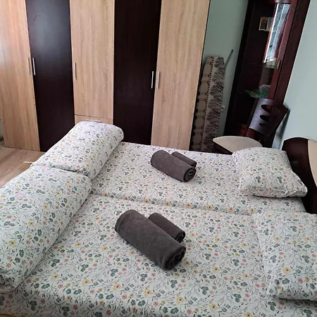 Apartment Zoev *