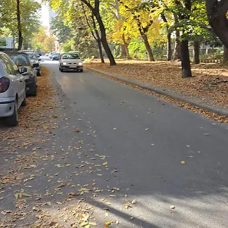 Zoev