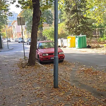 Zoev *