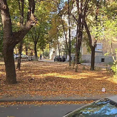 Zoev * Plovdiv