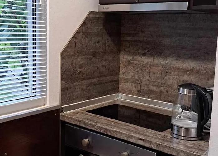 Apartment Zoev Plowdiw